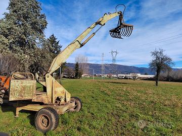 Ragno della Colto e Maragno 