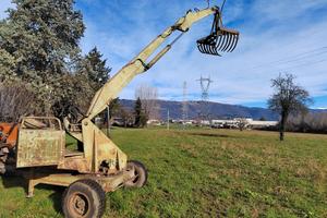 Ragno della Colto e Maragno 