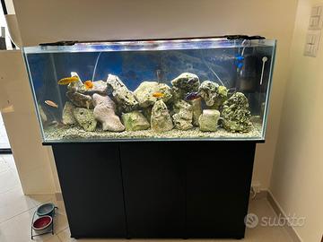 Acquario 240 litri