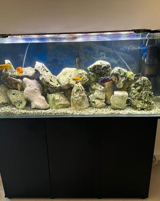 Acquario 240 litri