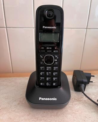 Telefono cordless Panasonic KX-TG1611JT