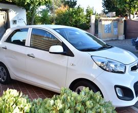 KIA Picanto 2ªs.(11/17) - 2014