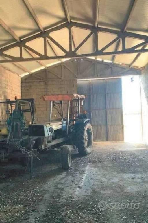 Immobile in asta di 289311 m² a Codigoro - Vista 5