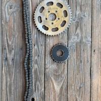 Catena corona pignone Harley Davidson