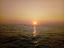 Immagine 21