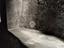 Immagine 29