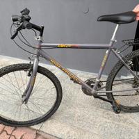 Bici mtb