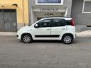 fiat-panda-1-2-easypower-lounge-gpl