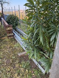 Capanno ricovero attrezzi