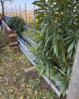 Capanno ricovero attrezzi