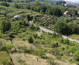 TER. AGRICOLO A GIARRE