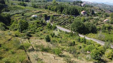 TER. AGRICOLO A GIARRE