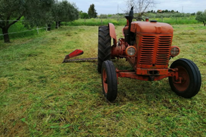 Trattore d'epoca