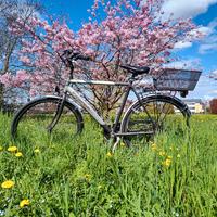 City Bike Tomasin  - Cambio Shimano