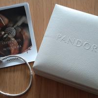 Bracciale Pandora Moments