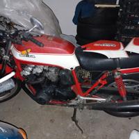 Honda bol d or 900