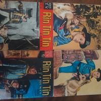 fumetti Rin Tin Tin 