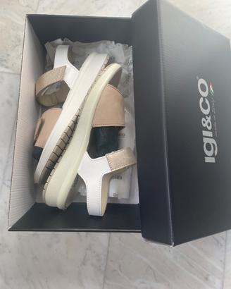 Scarpe Igi&Co Nuove