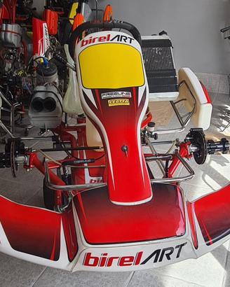 Kart Birel Art KZ 125