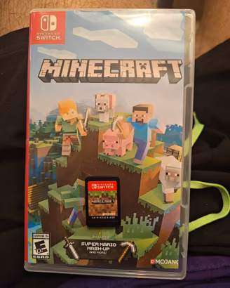 Minecraft Nintendo switch 