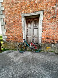 Mtb giant 29 carbonio