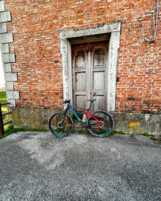 Mtb giant 29 carbonio