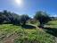 Immagine 27