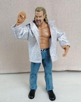 WWE WCW Classic Superstars Diamond Dallas Page fig