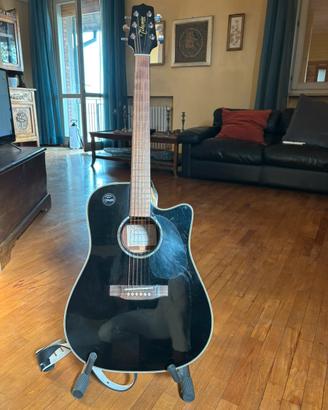 Chitarra acustica Takamine