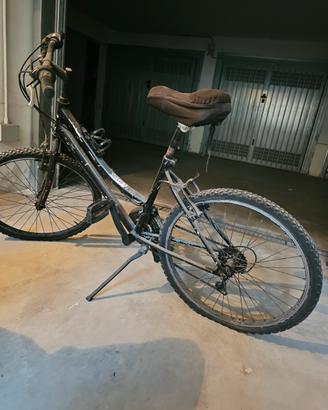 bicicletta 