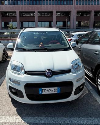 FIAT PANDA 2016