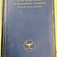 Le più belle pagine di Alessandro Manzoni G.Papini