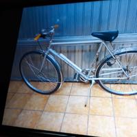 Bicicletta da uomo