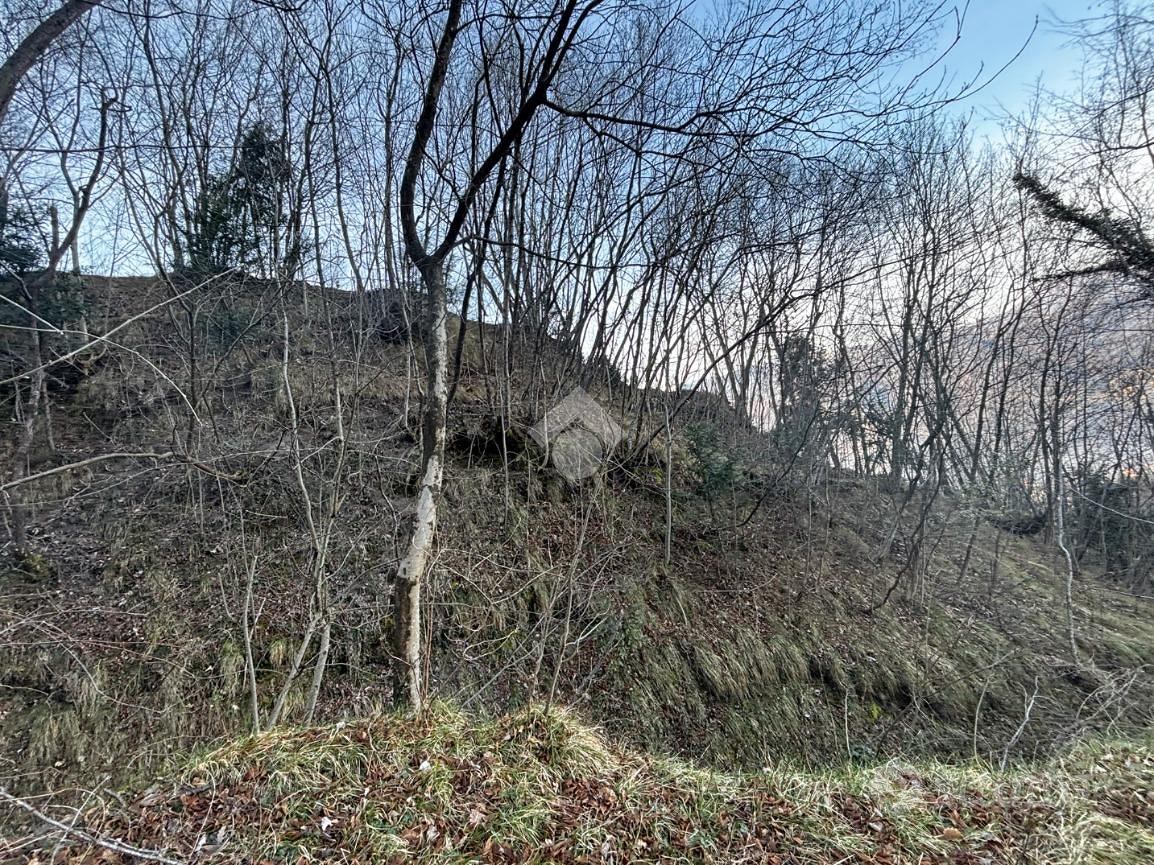 TER. AGRICOLO A LIERNA - Vista 2