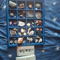 collezione di pietre e reperti rari