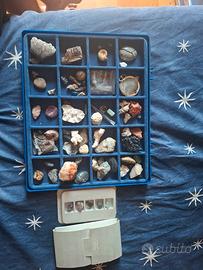 collezione di pietre e reperti rari