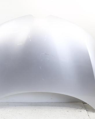COFANO ANTERIORE RENAULT Kadjar Serie 651004019R (