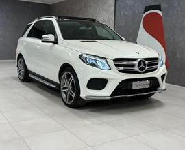 MERCEDES-BENZ GLE 250 d 4Matic Premium Plus