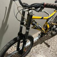 Bicicletta mountain bike regina daytona