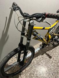 Bicicletta mountain bike regina daytona
