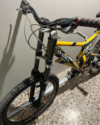 Bicicletta mountain bike regina daytona