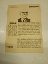 C.Levi Straus Scheda descrittiva allegato Panorama