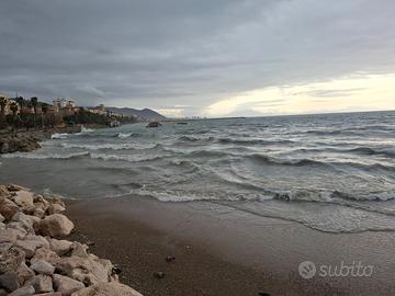 Amministrativo e ruoli simili