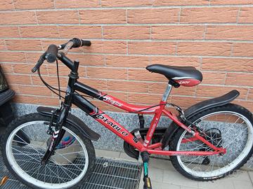 Bici da 20 pollici 