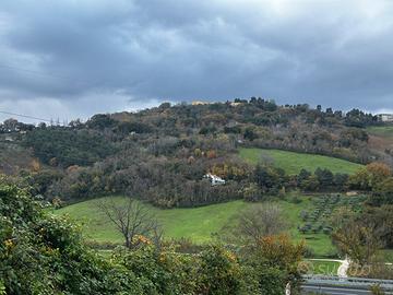 Terreno agricolo Ancona