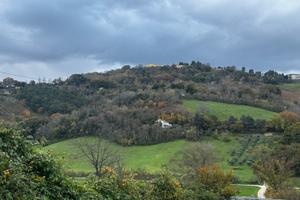 Terreno agricolo Ancona