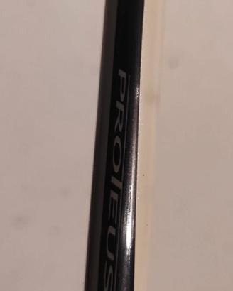Canna Daiwa Proteus