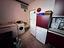 Immagine 10
