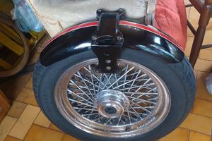 Harley Softail custom e non solo