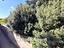 Immagine 24
